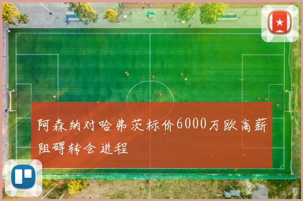 阿森纳对哈弗茨标价6000万欧高薪阻碍转会进程