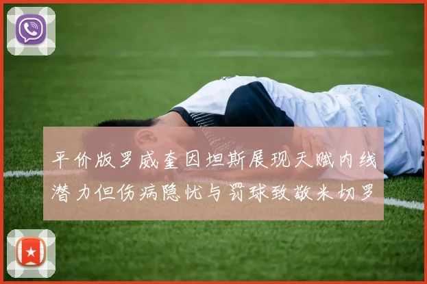 平价版罗威奎因坦斯展现天赋内线潜力但伤病隐忧与罚球致敬米切罗